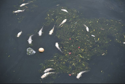 太平岩寺 太平岩寺